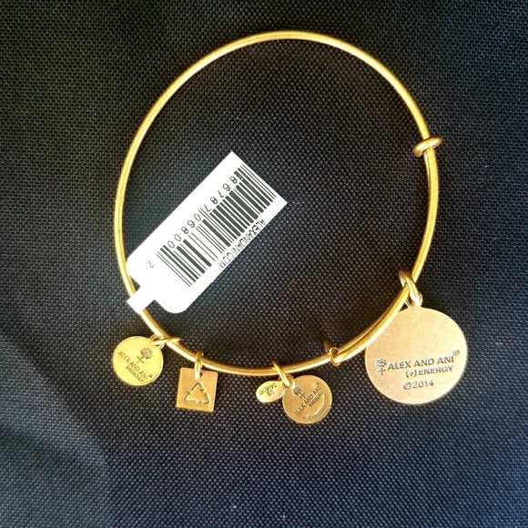 NWT Alex and Ani Today is an Opportunity Bracelet - Picture 5 of 5